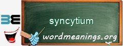 WordMeaning blackboard for syncytium